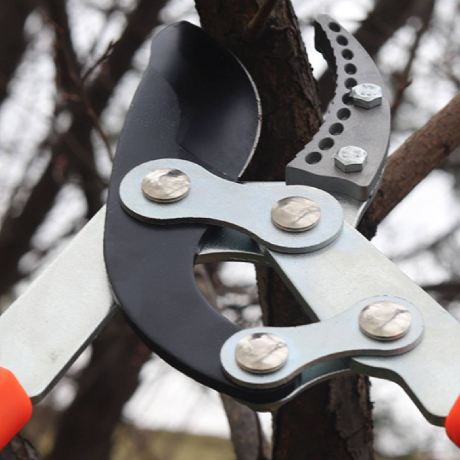 Pruning Shears - Teleskopowe nożyce do gałęzi z ostrym