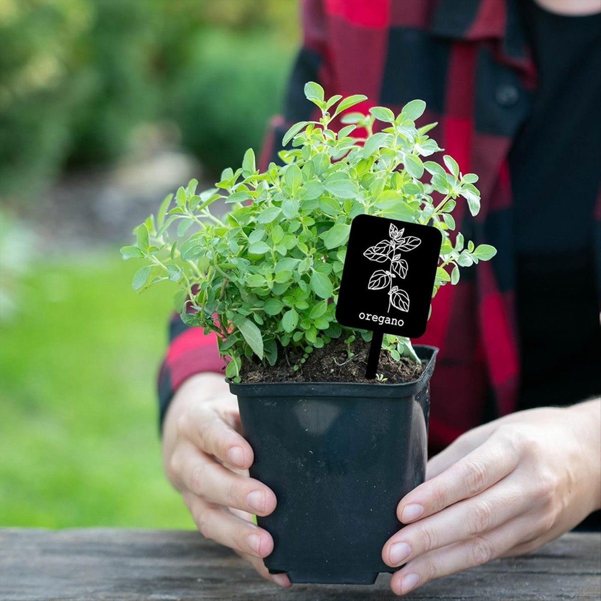 Gardening Tools With Names - AA14 24 szt. Akrylowe Etykiety do