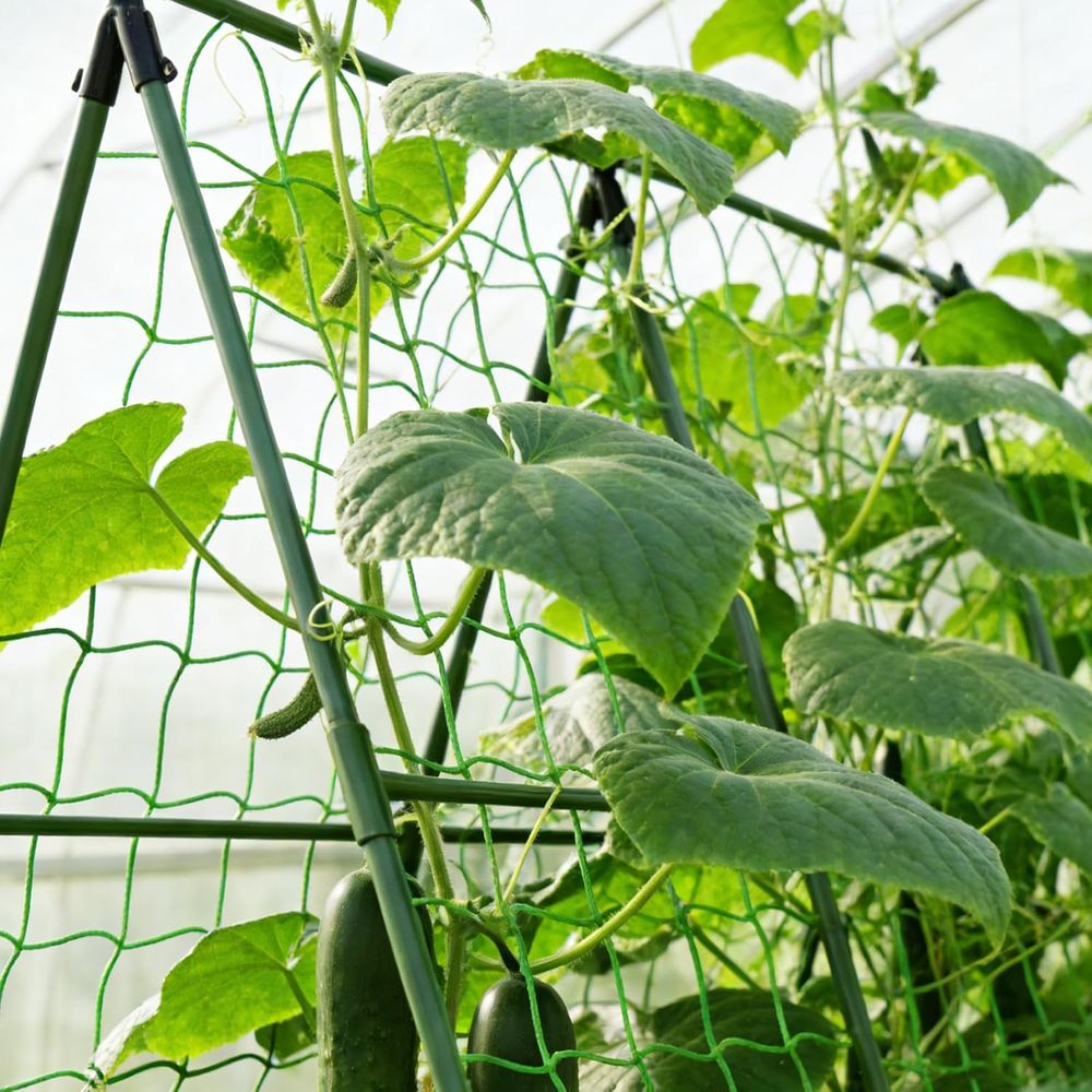 50 sztuk 58-calowych podpórek  – Plant Support Stake recenzja i cena