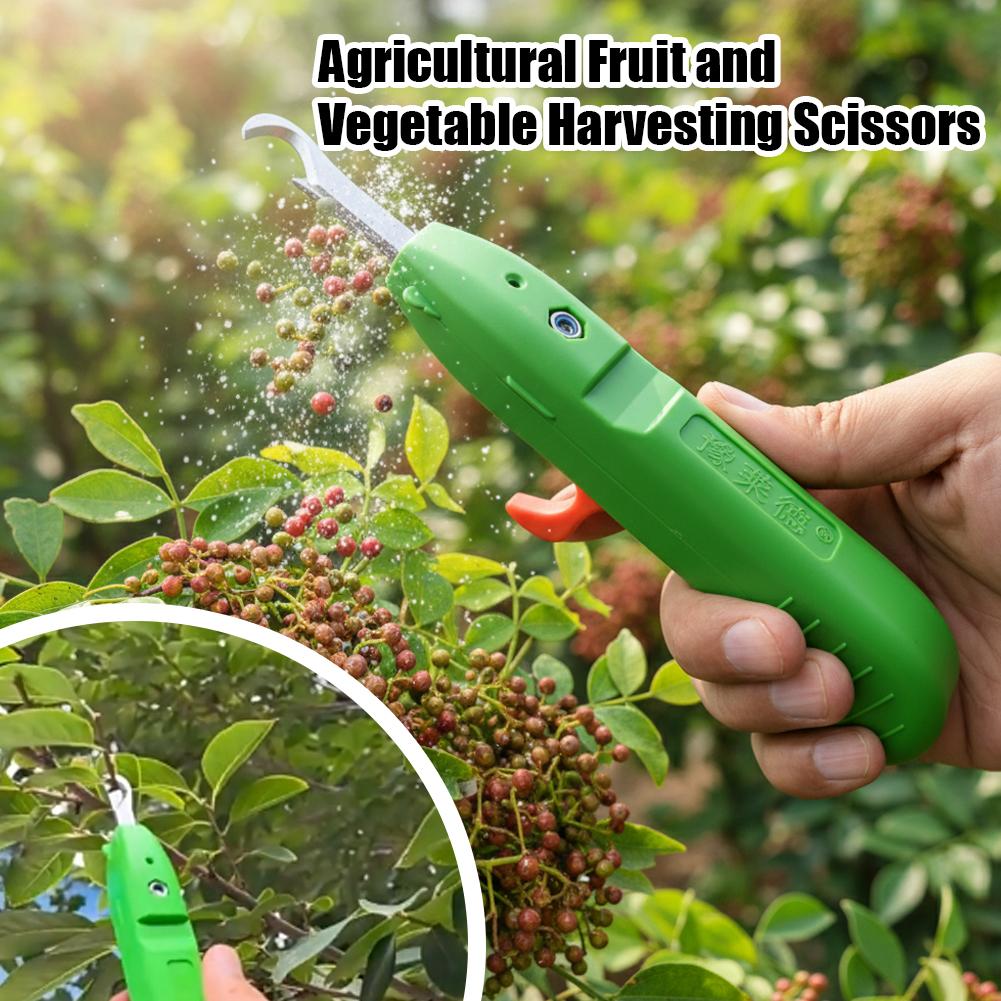 Nożyce do zbioru owoców i warz – Gardening Tools Cutter recenzja i cena