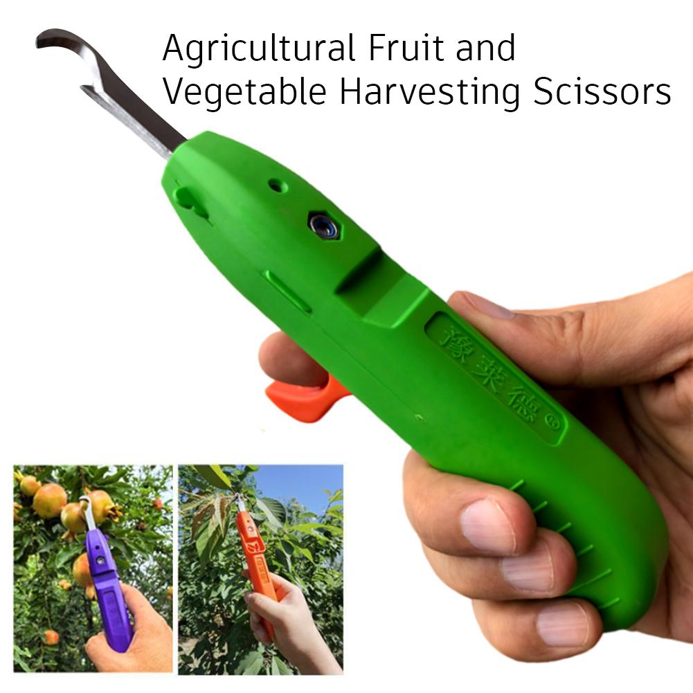 Ręczne narzędzie do zbierania  – Gardening Tools Cutter recenzja i cena