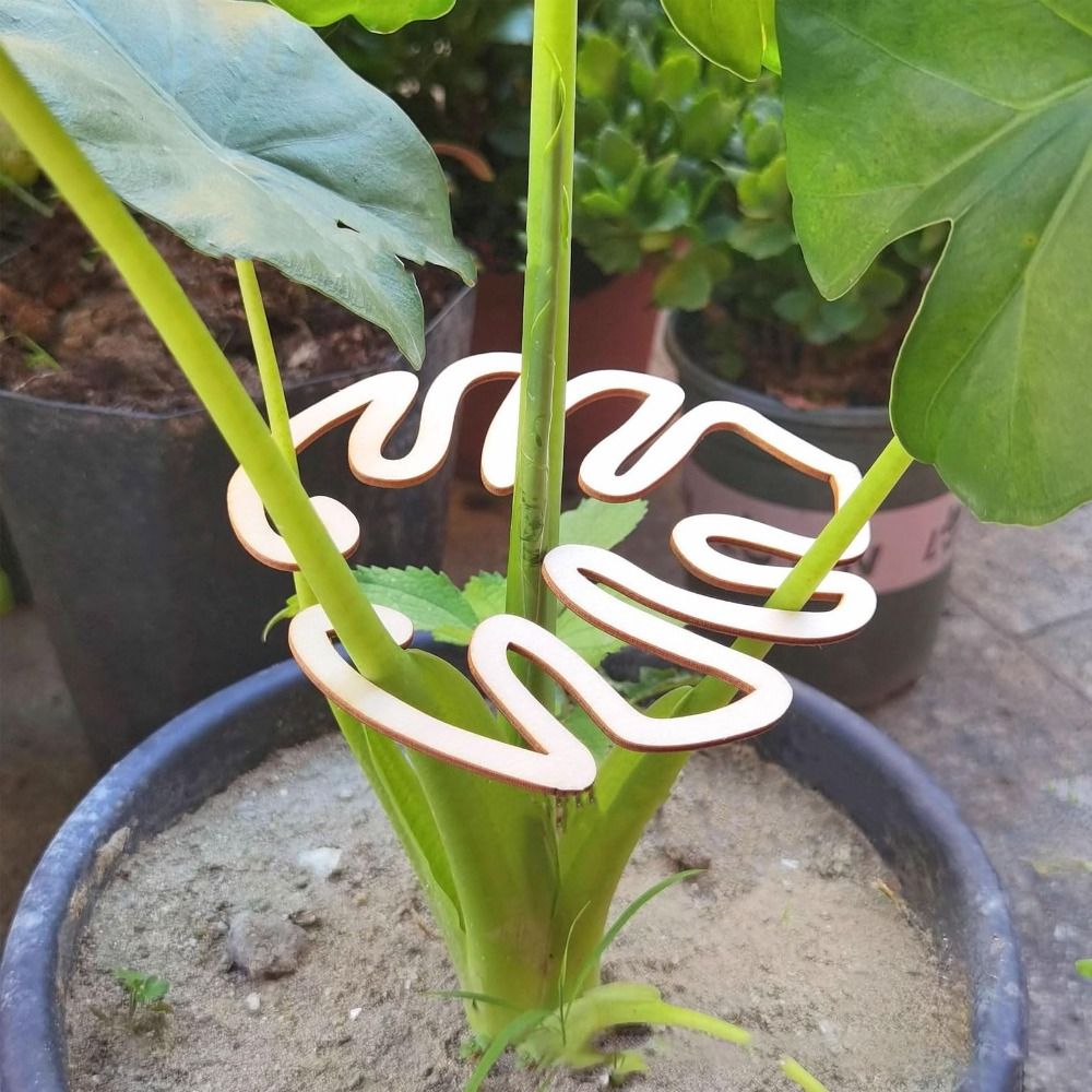 1/2 SZTUK Wielokrotnego użytku – Gardening Tools Wooden recenzja i cena