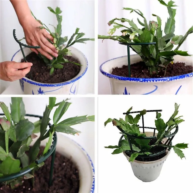 Zestaw 1-9 plastikowych podpór – Plant Support Stake recenzja i cena