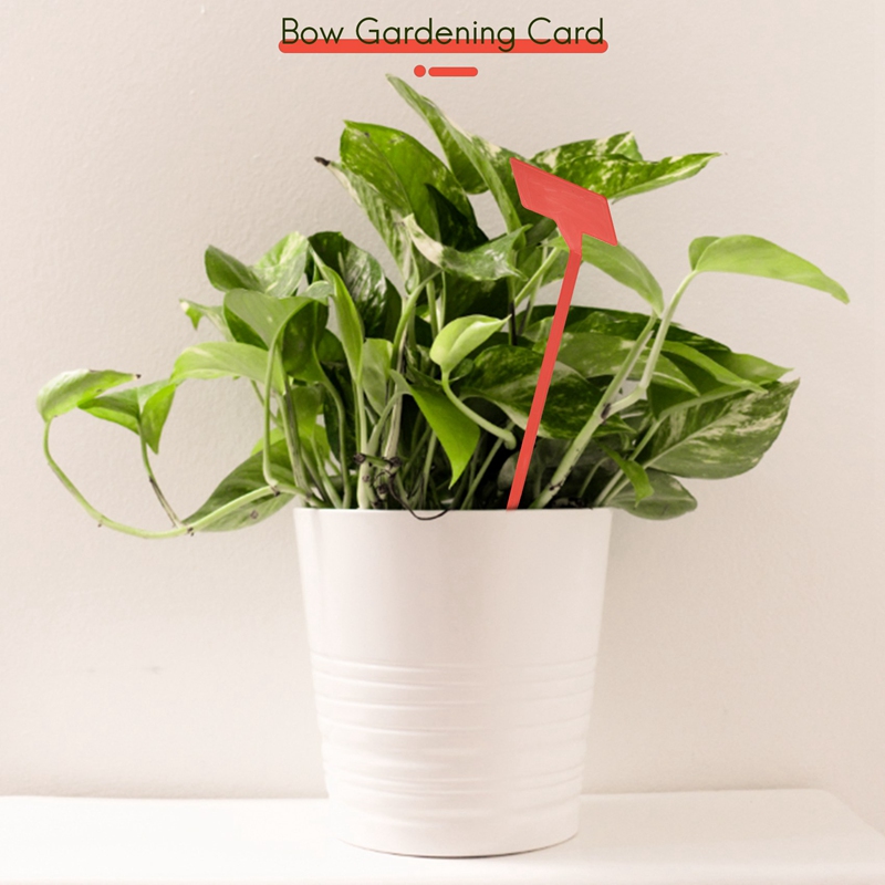 ABYP Ogrody Narzędzia do sadze – Gardening Tools Types recenzja i cena