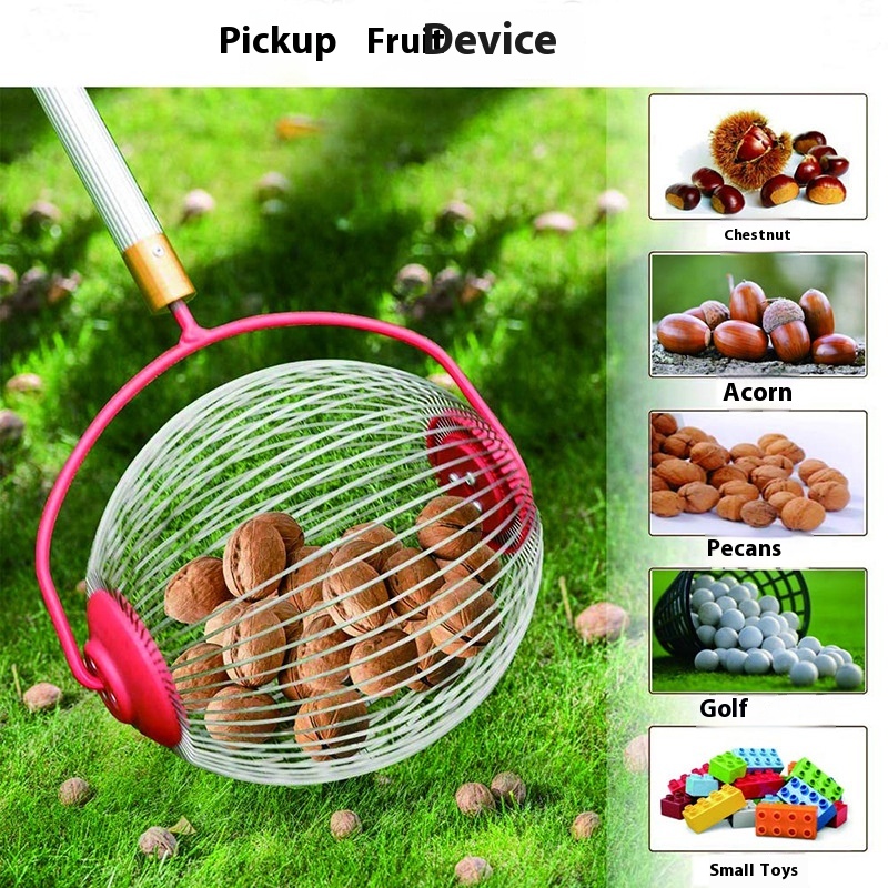 Zbierak do orzechów typu bęben – Gardening Tools Types recenzja i cena