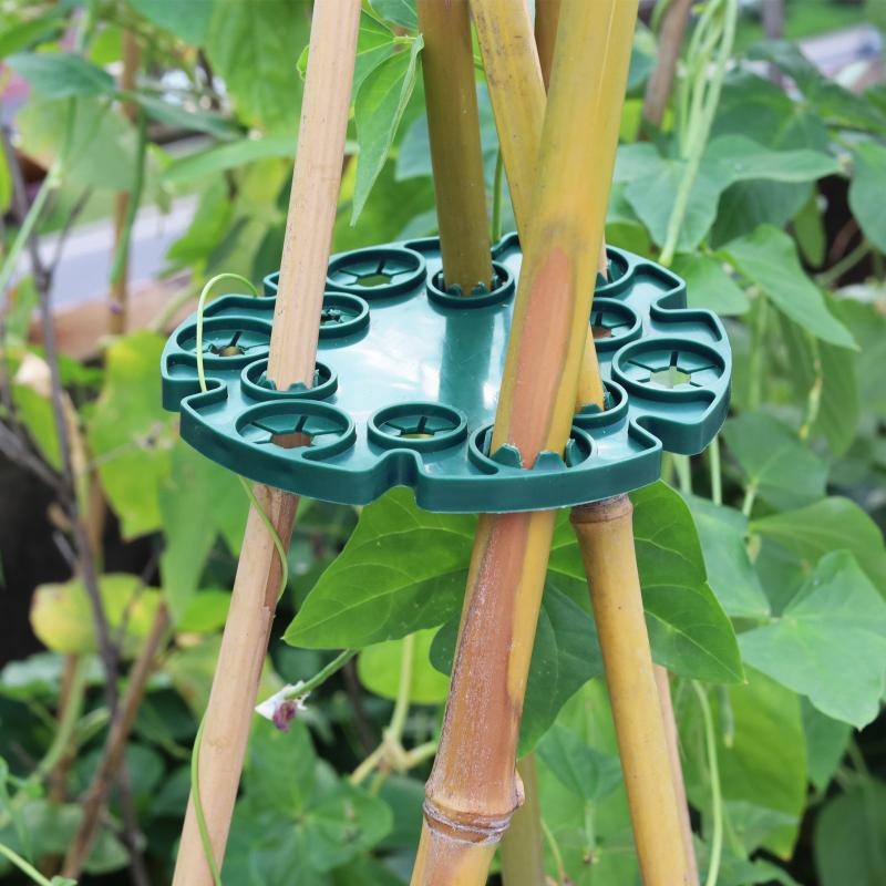 Plastikowa kratka ogrodowa do  – Plant Support Stake recenzja i cena