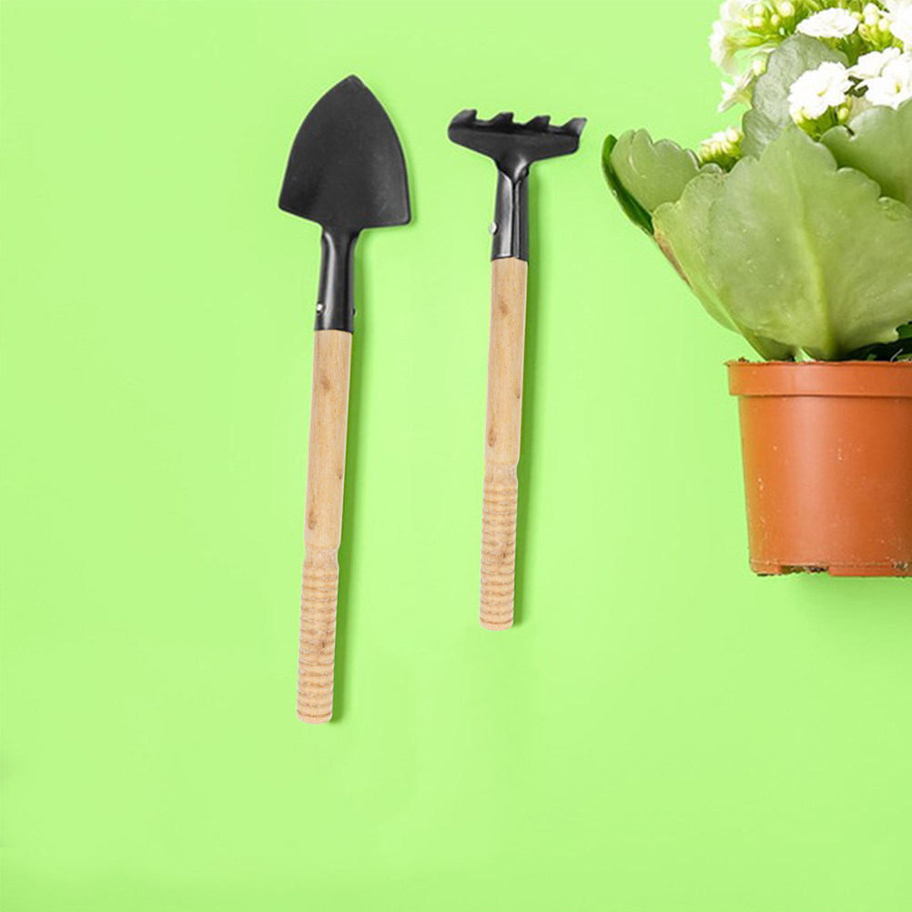 5-częściowy zestaw drewnianych – Gardening Tools Wooden recenzja i cena