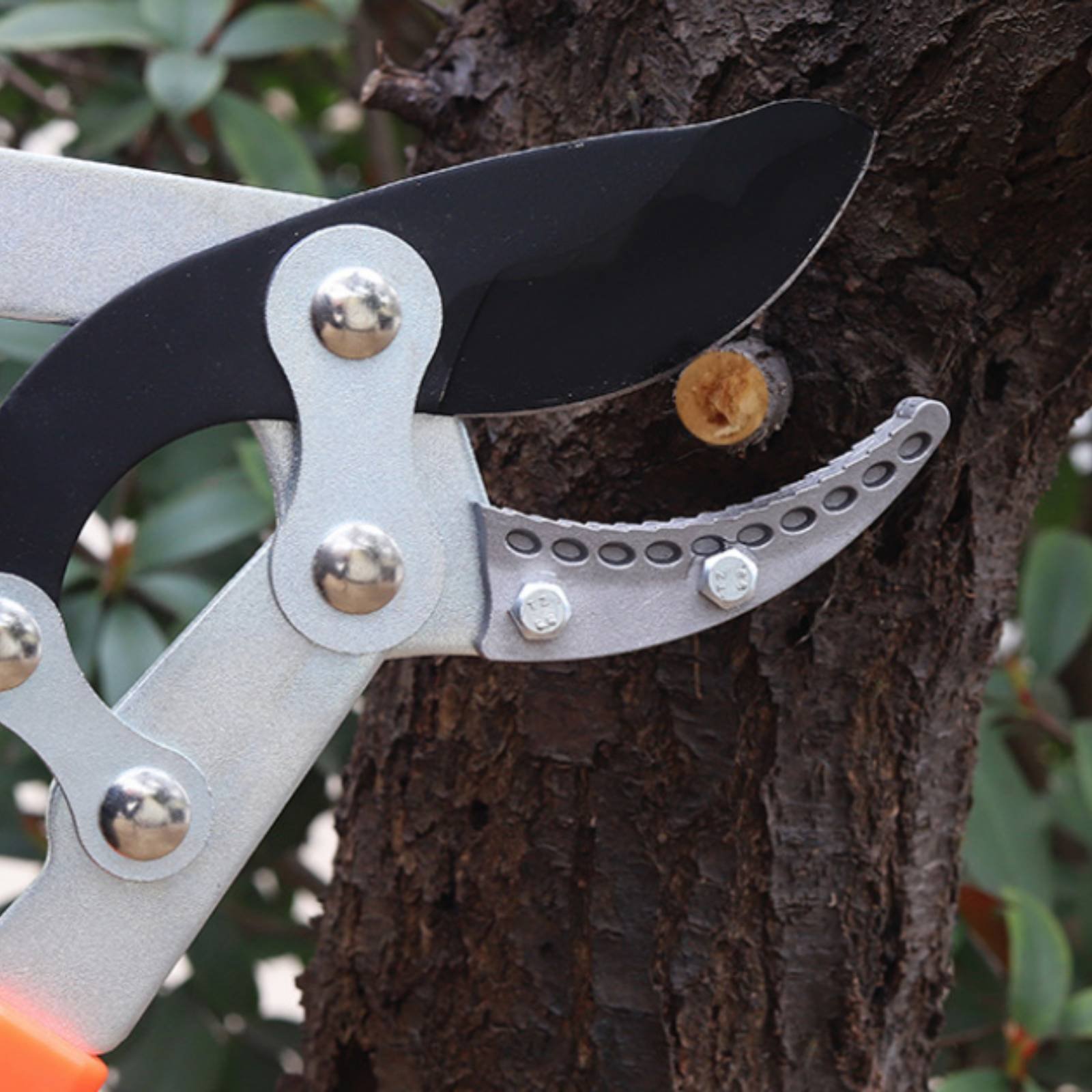 Teleskopowe nożyce do gałęzi z – Pruning Shears recenzja i cena