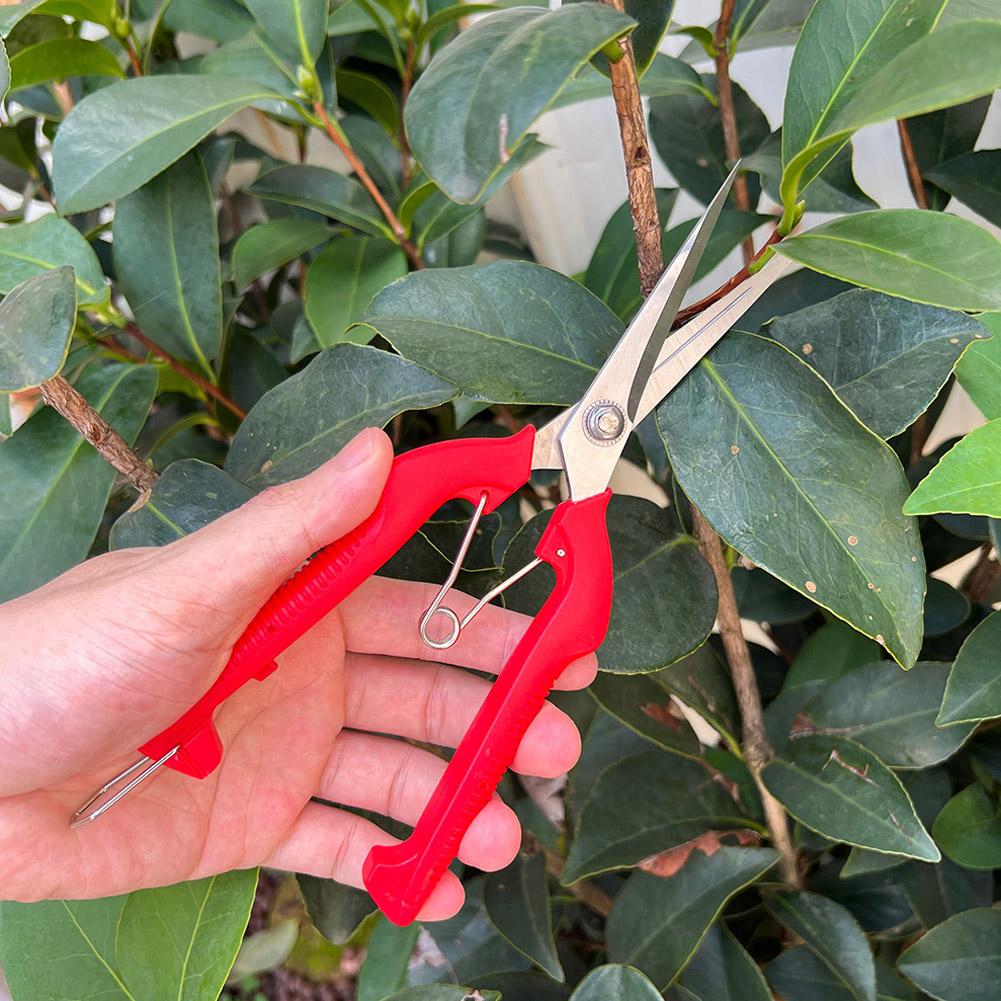 Profesjonalne nożyce ogrodowe  – Essential Gardening Tools recenzja i cena