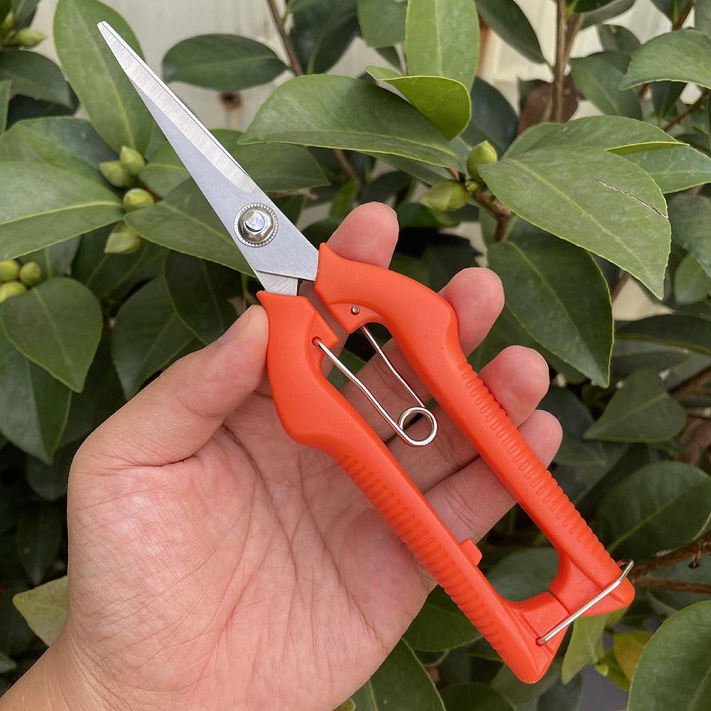 Profesjonalne nożyce ogrodowe  – Essential Gardening Tools recenzja i cena