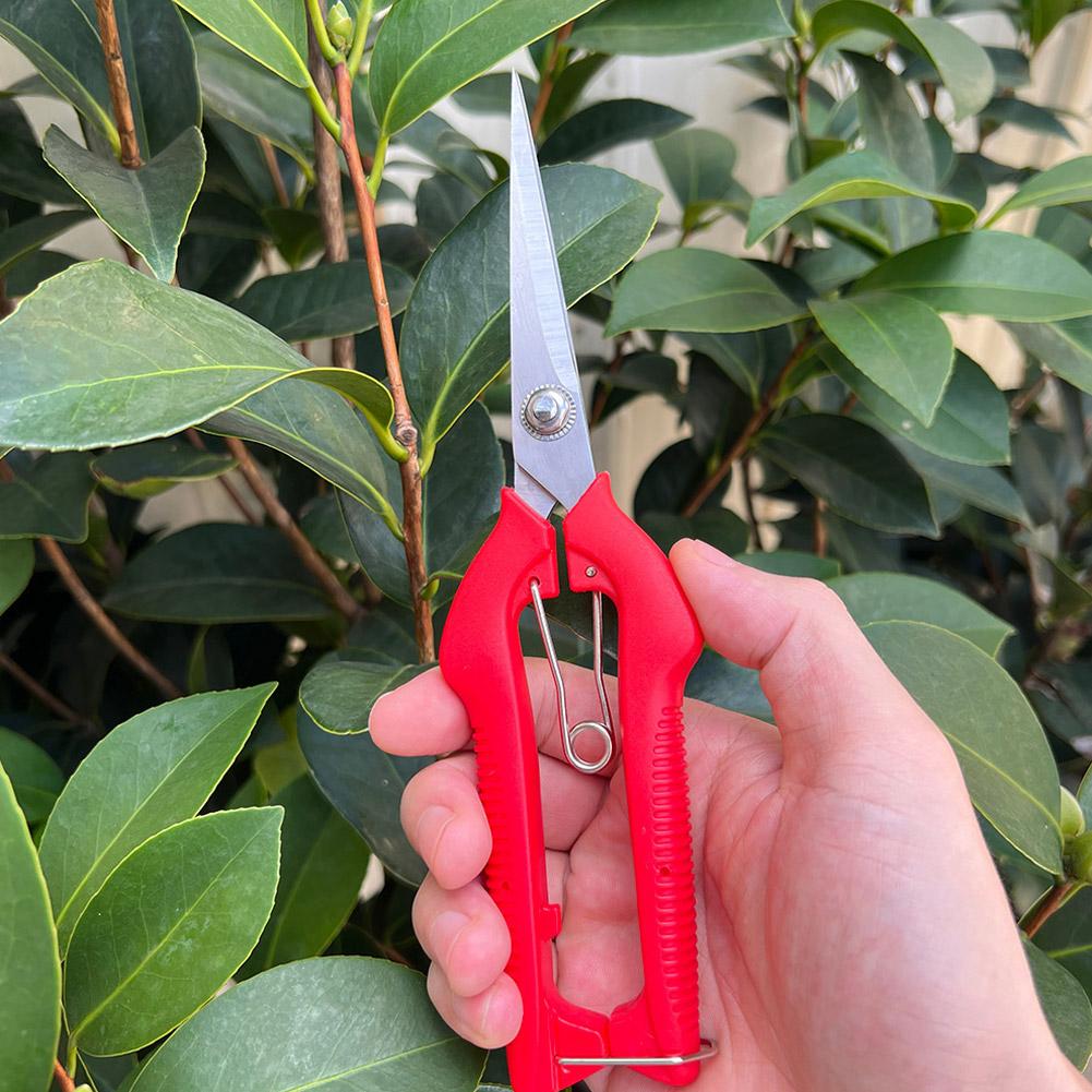Profesjonalne nożyce ogrodowe  – Essential Gardening Tools recenzja i cena