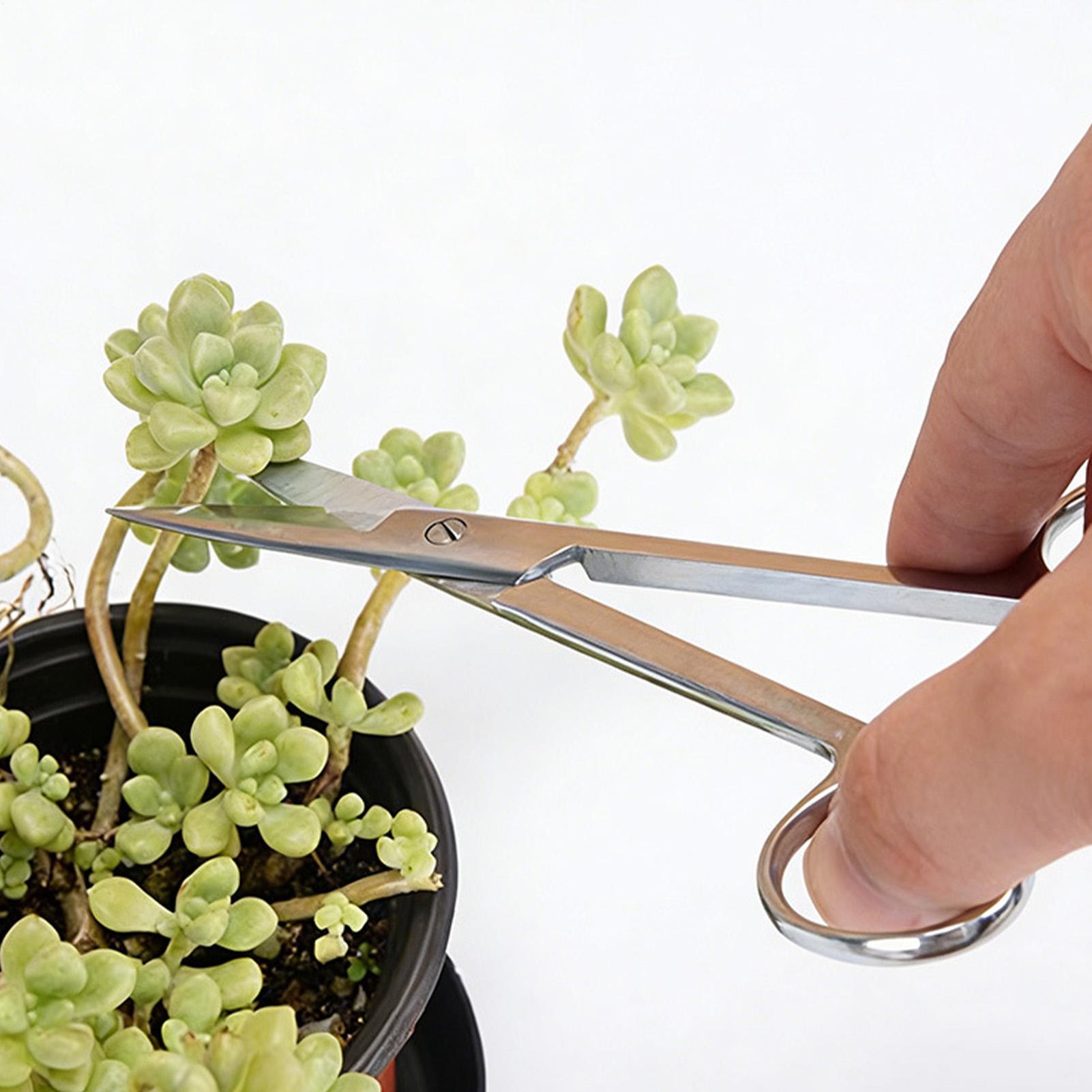 Nożyce do roślin ze stali nier – Pruning Shears recenzja i cena