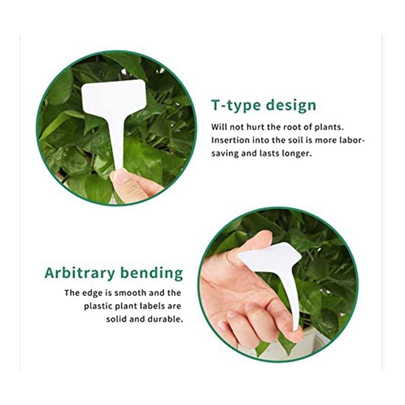 Etykiety do roślin RANA, 300 s – Gardening Tools With Names recenzja i cena