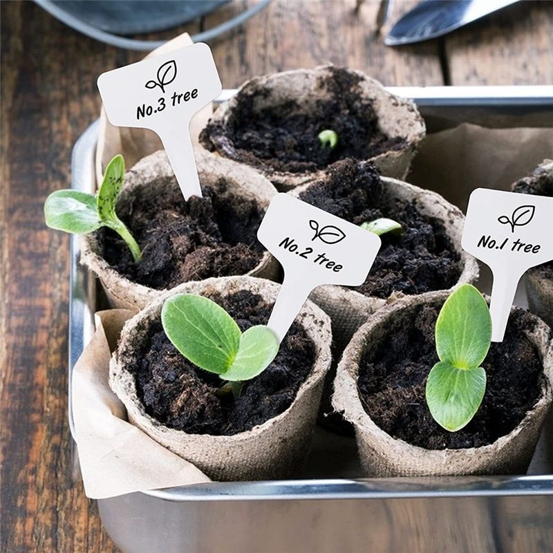 Etykiety do roślin RANA, 300 s – Gardening Tools With Names recenzja i cena