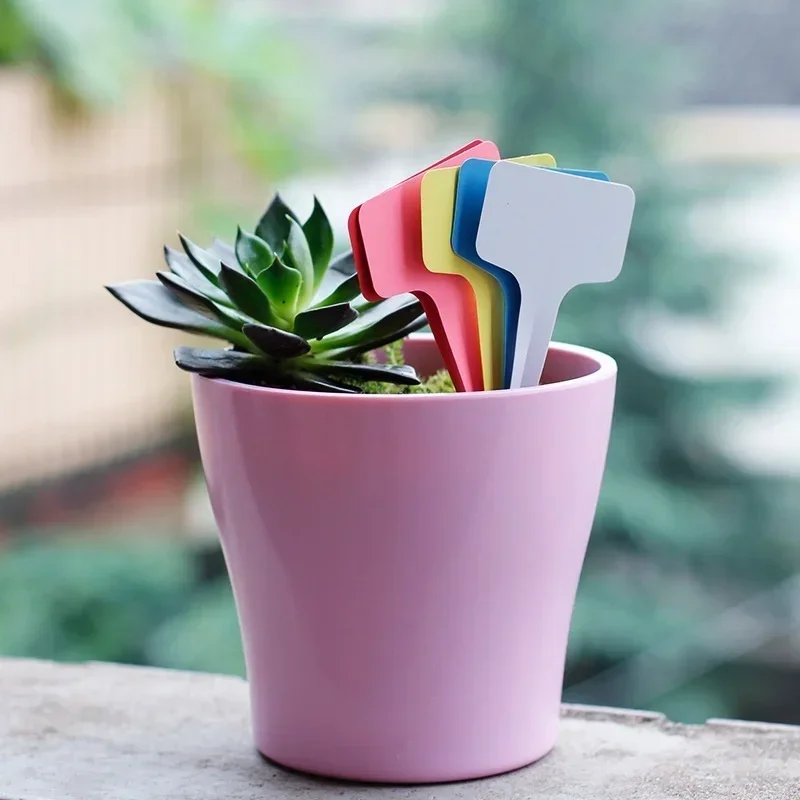 20 szt. Plastikowe wodoodporne – Gardening Tools With Names recenzja i cena