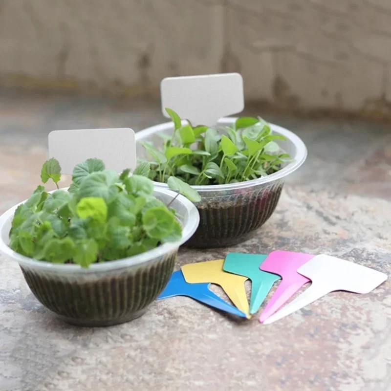 20 szt. Plastikowe wodoodporne – Gardening Tools With Names recenzja i cena